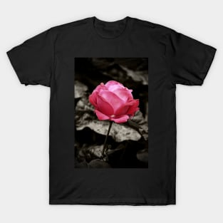 One Pink Rose T-Shirt